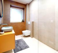 A family house bathroom with a sink, mirror, and wall-mounted toilet in soft tones.