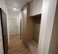 Narrow entrance space in a 2-room apartment with wood-patterned flooring and storage space.