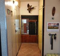A hallway in a 2-room apartment with a coat rack wall and wall decoration.