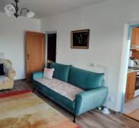 Living room in a two-room apartment with a sofa and an armchair, wooden decor flooring.