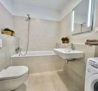 Bathroom in a 2-room apartment with a shower, bathtub, washing machine, and sink.