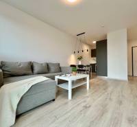 A living room with wood-patterned flooring, a sofa, and a dining table in a two-room apartment.