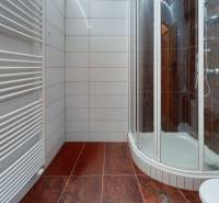 Bathroom with a shower, radiator, and wooden decor flooring in the office.