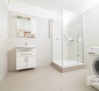 A bathroom in a 3-room apartment with a sink, shower, and washing machine.