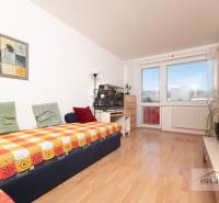 A room in a 3-room apartment with a wooden decor floor, a colorful blanket, and houseplants.