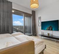 A one-room apartment with a bed, television, plant, and a floor with a wooden decor.