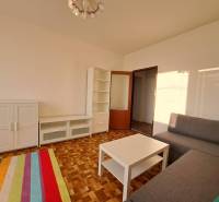 Living room with white cabinets, a gray sofa, and a wood-patterned floor in a two-room apartment.