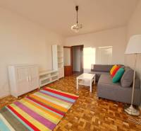 Living room in a two-room apartment with a colorful carpet, sofa, and wooden decor flooring.