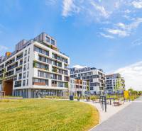 1 izbovy byt na prenajom_novostavba_slnecnice zona Mesto