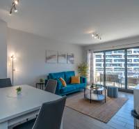 Living room in a two-room apartment with a wooden decor floor and seating area.