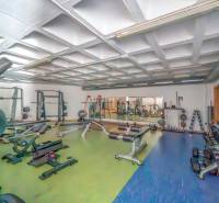Gym with machines and a mirror in a 2-room apartment.