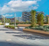 Modern architecture in Alicante overlooking a 2-bedroom apartment, surrounded by greenery.