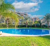 A pool surrounded by palm trees with modern apartment buildings in Alicante on a sunny day.