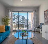 Living room in a 2-room apartment with a terrace, blue sofa, and plant.