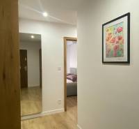 A hallway of a 2-room apartment with a wooden decor floor and a painting on the wall.