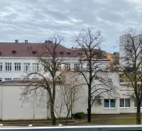 View of the building and trees from a 2-room apartment on Pivovarská Street, Nitra.