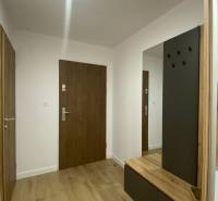 A hallway of a 2-room apartment with a wooden decor floor and a built-in wardrobe.