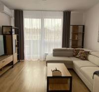Living room in a two-room apartment with a wooden decor floor, light sofa, and television.