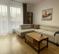Living room with a sofa, wooden decor flooring, and furniture in a two-room apartment.