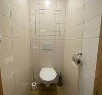 A toilet with wooden decor tiles and flooring in a 2-room apartment.