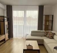 Living room with a sofa, television, and wooden decor flooring in a 2-room apartment.