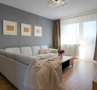 Living room in a 3-room apartment with a sofa and a wooden decor floor.