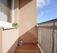 Balcony with wooden decor flooring, plant on the windowsill, building cladding.