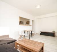 Living room in a two-room apartment with a wooden decor floor and simple furniture.
