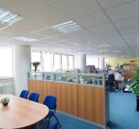 Offices with blue carpet, large windows, divided workspaces, conference table.