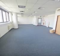 Spacious offices with blue carpet and windows on Kutlíkova Street in Bratislava-Lúky.