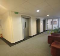 Interior of an office with elevators and a couch, white wall, 