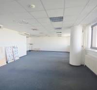 A spacious office with a blue carpet, windows, and air conditioning, suitable for various uses.