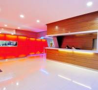 Offices with light flooring and a reception area in decorative wooden style.