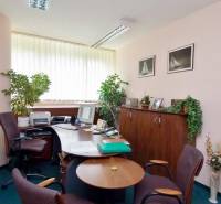 An office with desks, chairs, a computer, and plants, with a carpeted floor.