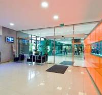 Office lobby with white glossy floor, orange wall, and glass doors.