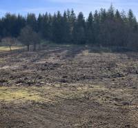 Fruit trees on a plot near the forest in Terchová, ideal for a family house.