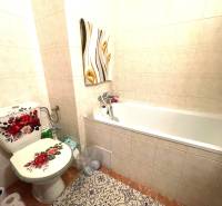 A bathroom with decorative tiles and a floral motif in a studio apartment.