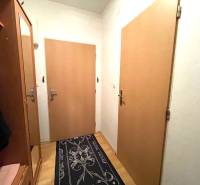 Hallway in a one-room apartment with furniture, doors, and flooring with a wooden decor.
