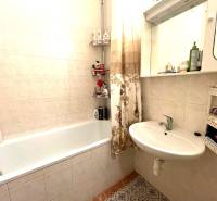 Bathroom in a studio apartment with a bathtub, mirror, and tiles on the walls.