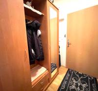 Hallway in a one-room apartment with a wood-patterned floor, coat closet, mirror, carpet.