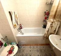 A bathroom in a studio apartment with a bathtub, a sink, and a decorated toilet seat.