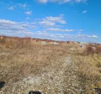 Residential plots in Nové Zámky with natural vegetation and a clear sky.