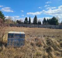 Plots - living in Nové Zámky with a container under a clear blue sky.