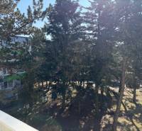 The trees on Ondrejovova Street in Bratislava-Ružinov provide a view from the 3-room apartment.