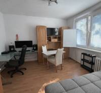 Interior of a 3-room apartment with a wooden decor floor, a desk, and a sofa.
