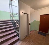 The apartment building has stairs, an elevator, and the door to a 3-room apartment.