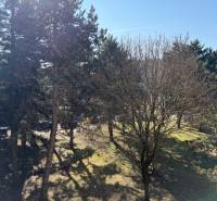 A park in Bratislava-Ružinov on Ondrejovova Street with dense tree cover.