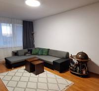 Living room in a 4-room apartment with a wooden decor floor, sofa, and decorative globe.