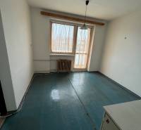 A simple room in a one-bedroom apartment with a window and a radiator, flooring with a dark decor.