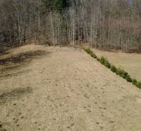 Recreational plots in Kľak with grassy vegetation, bordered by coniferous trees, near the forest.